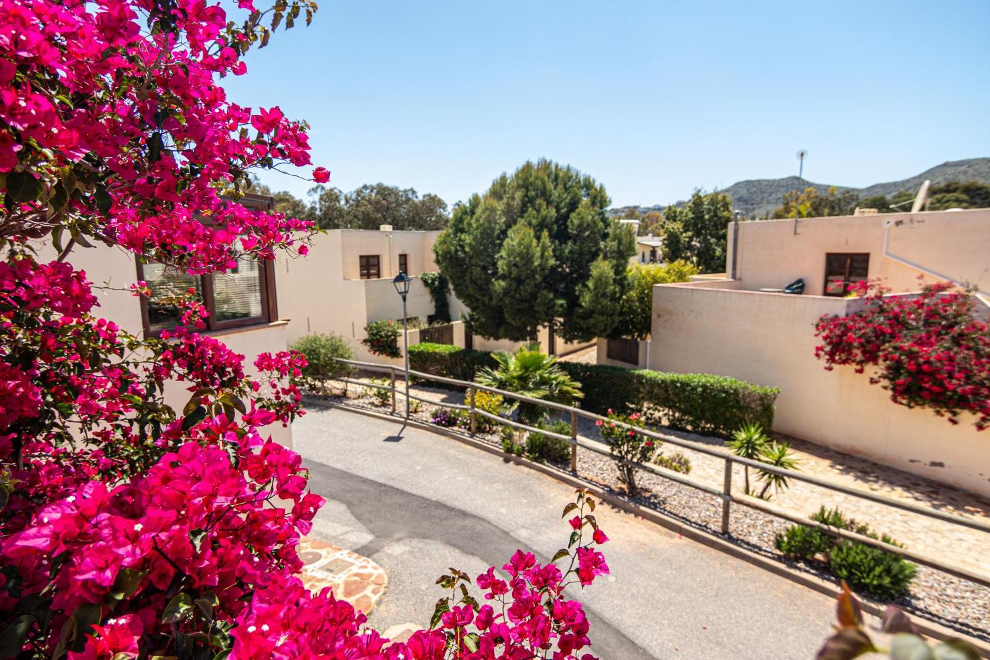 סן חוזה El Velero Sotillo La Jarana Piscina Parking Wifi מראה חיצוני תמונה